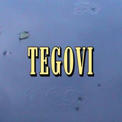 Cover of Tegovi