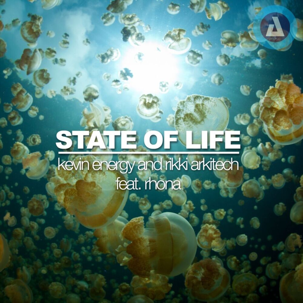 Picture of State Of Life