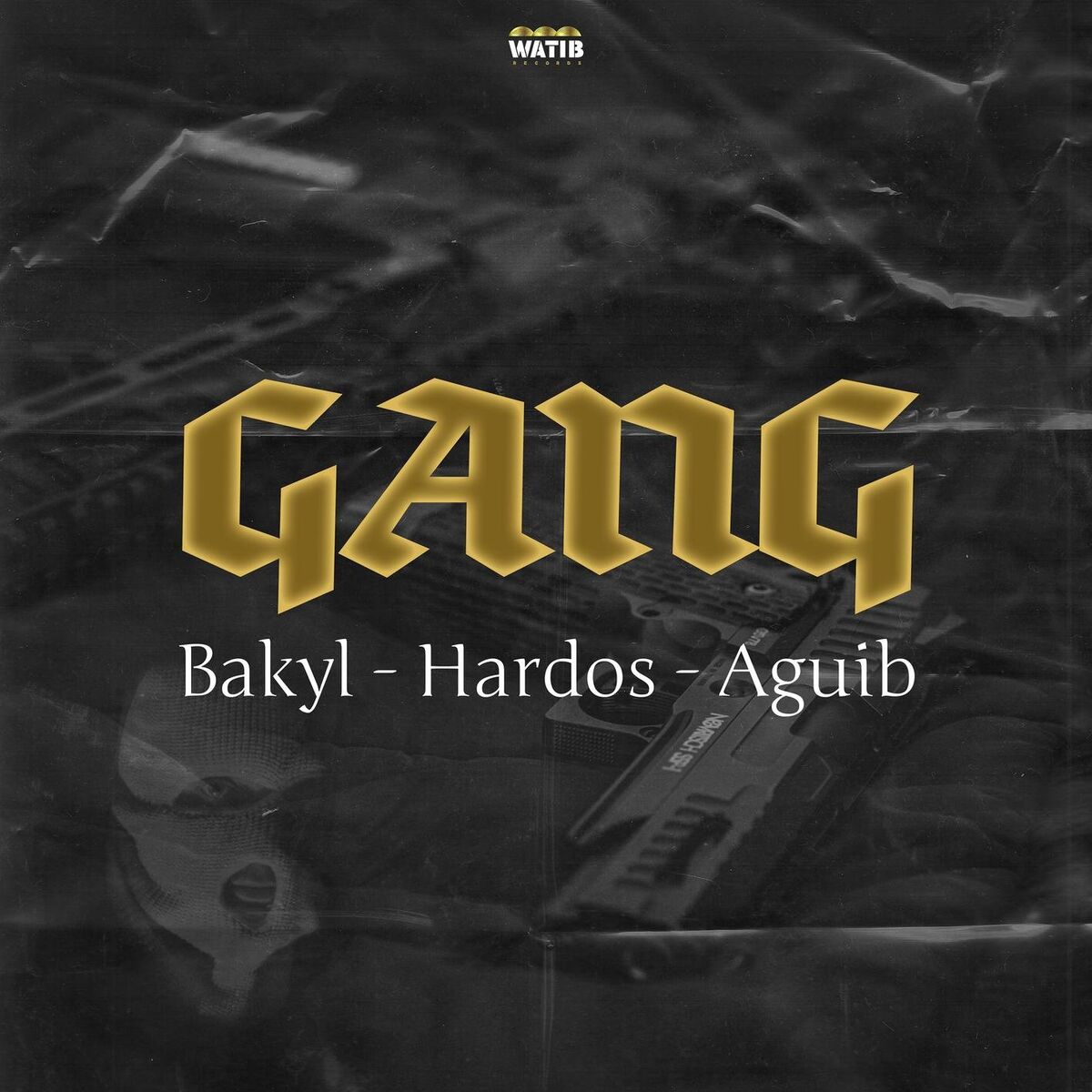 Album cover of Gang (feat. Hardos & Aguib)