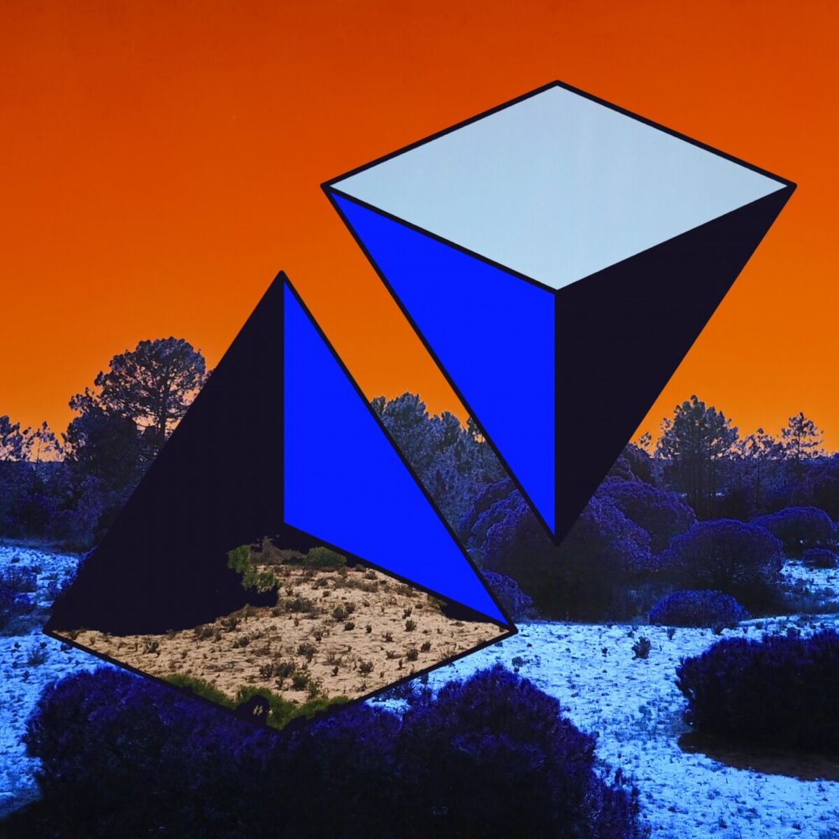 Album cover of Forever Lost