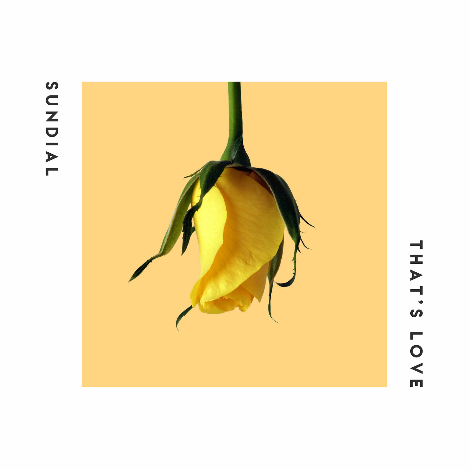 Album cover of that's love