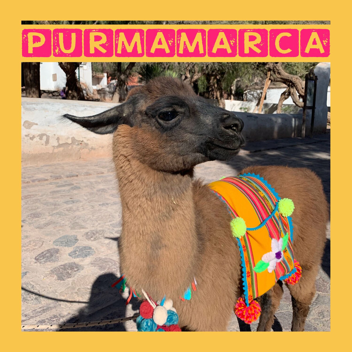 Album cover of Purmamarca