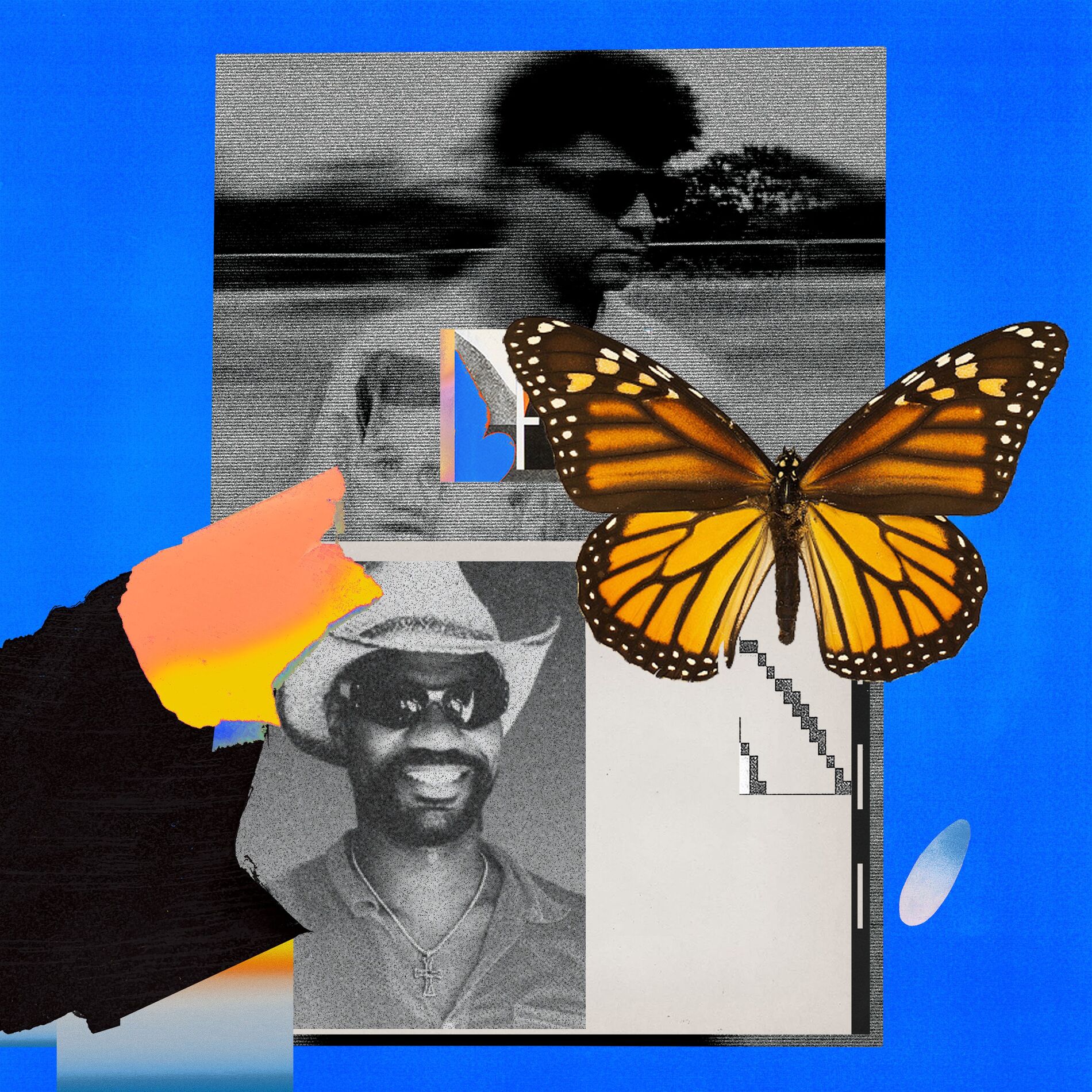 Album cover of Butterflies