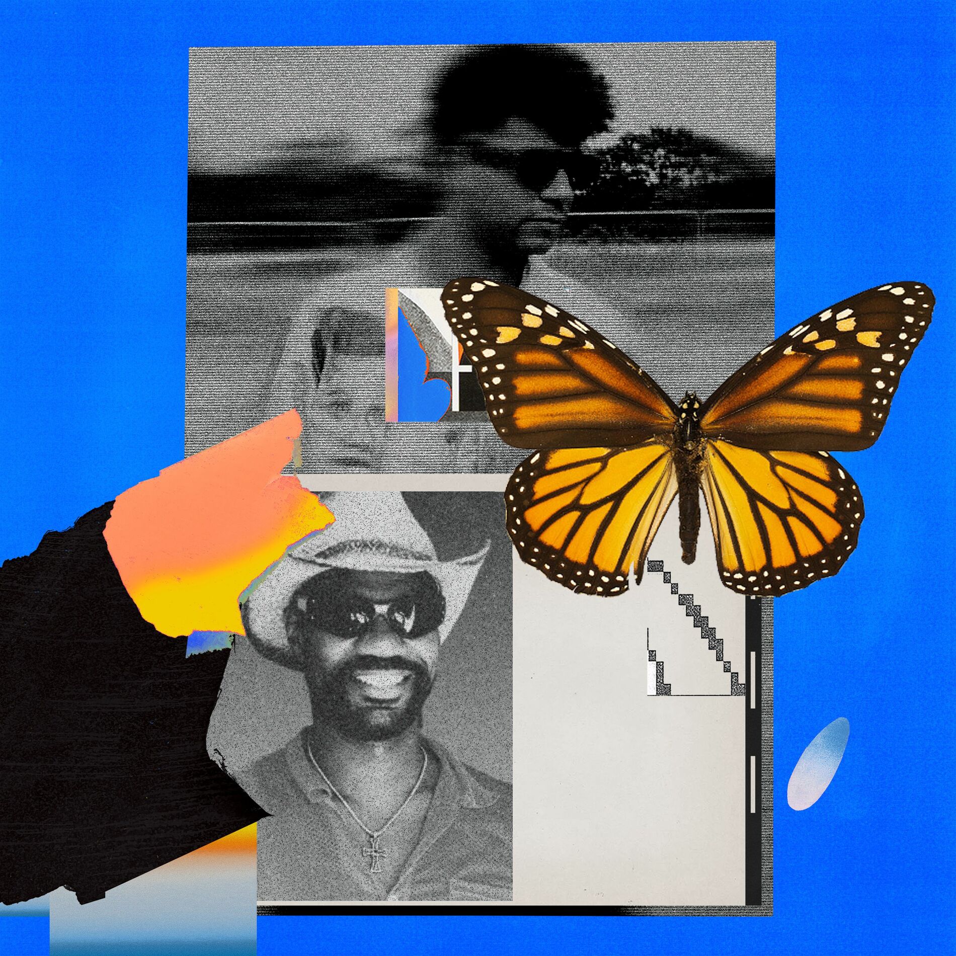 Album cover of Butterflies