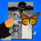 Butterflies by Green Velvet album cover