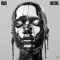 Cover of Last Call