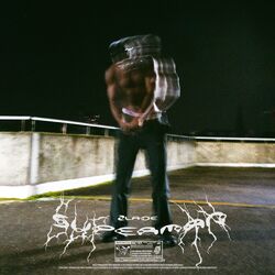 music cover