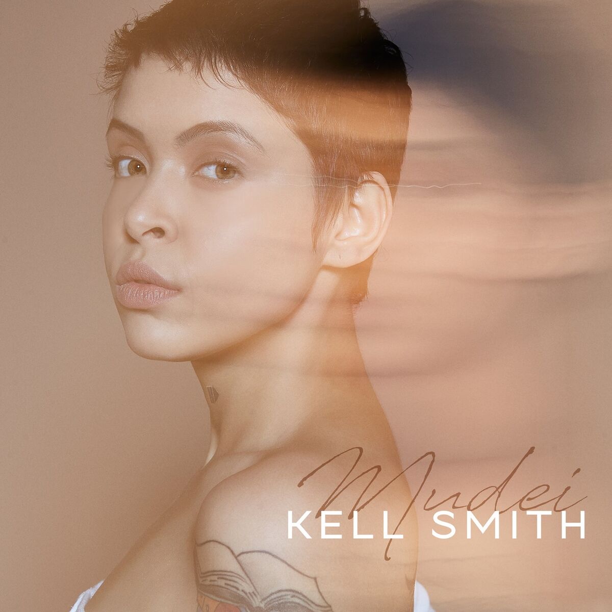 Album cover of Mudei