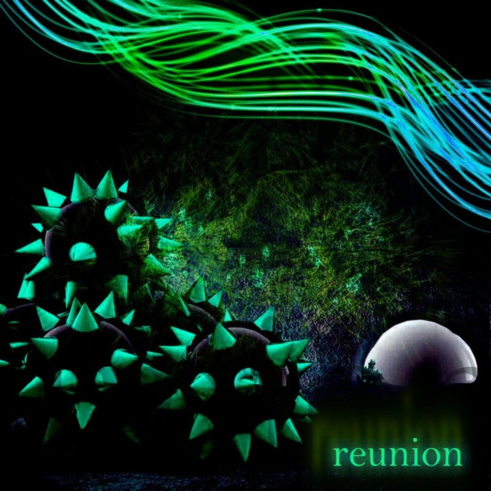Picture of Reunion