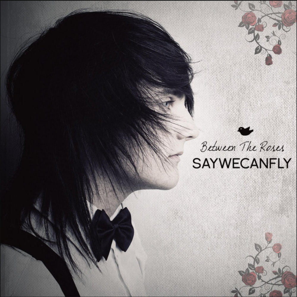 saywecanfly net worth - Ilustrasi 2