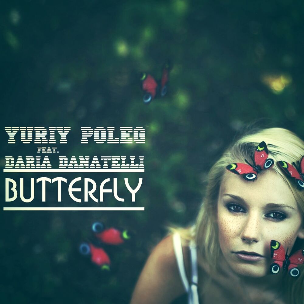 Picture of Butterfly