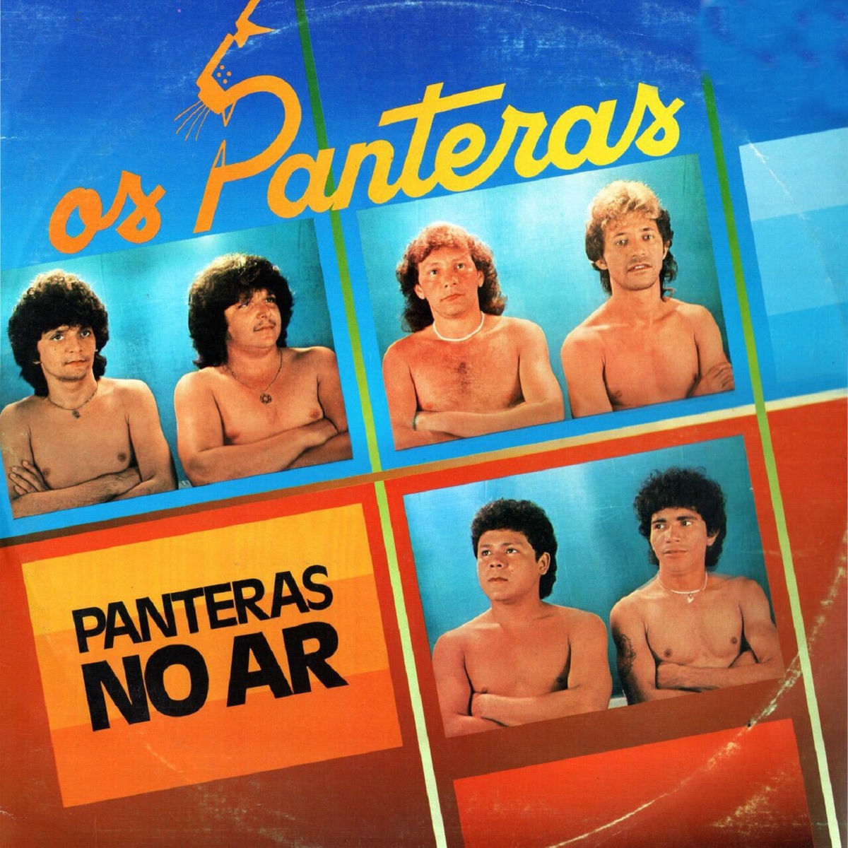Album cover of Panteras no Ar