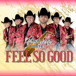 Cover of Feel So Good