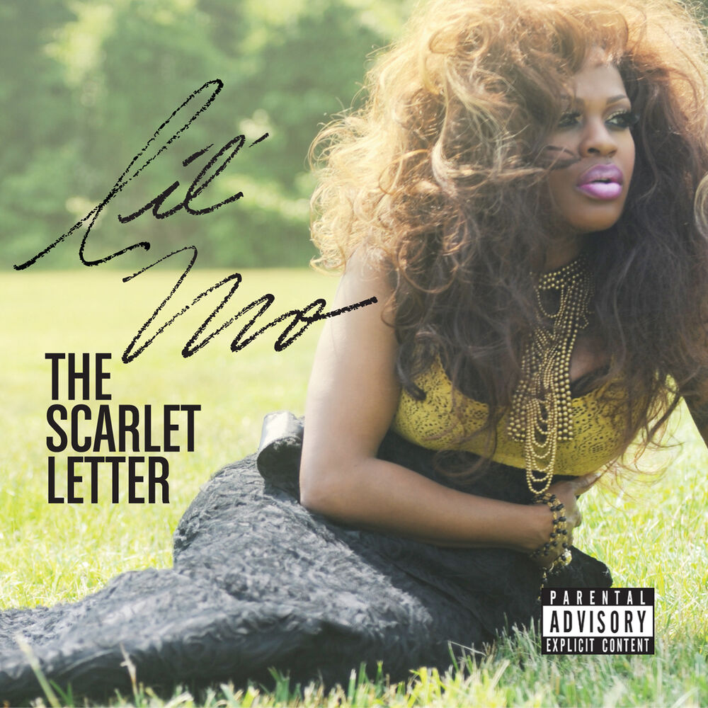 Picture of The Scarlet Letter