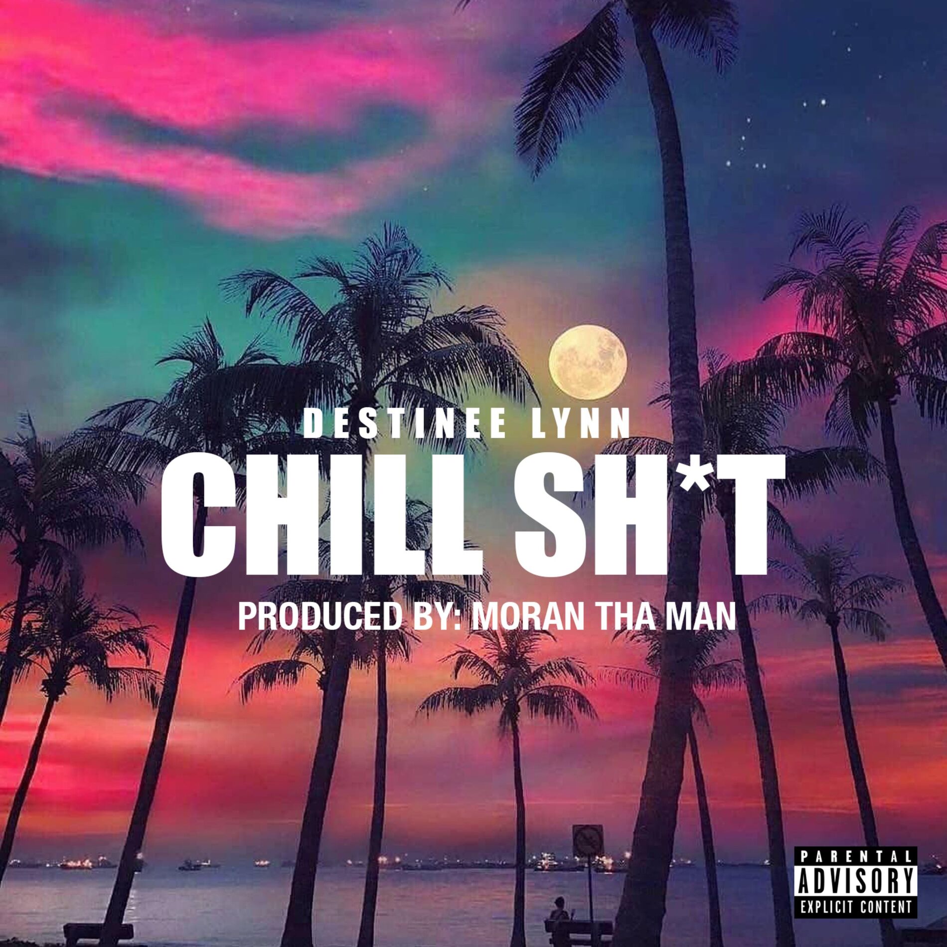 Album cover of Chill Shit