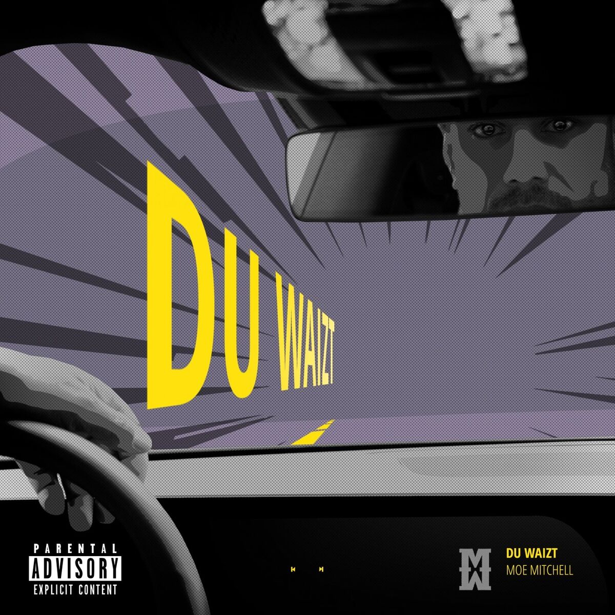 Album cover of Du waizt