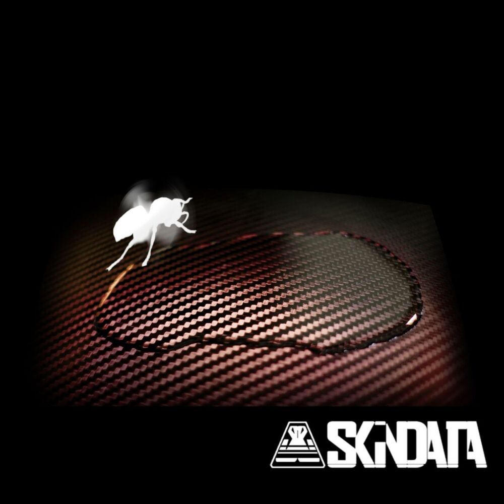 Picture of Skindata