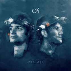 Cover of Mosaik