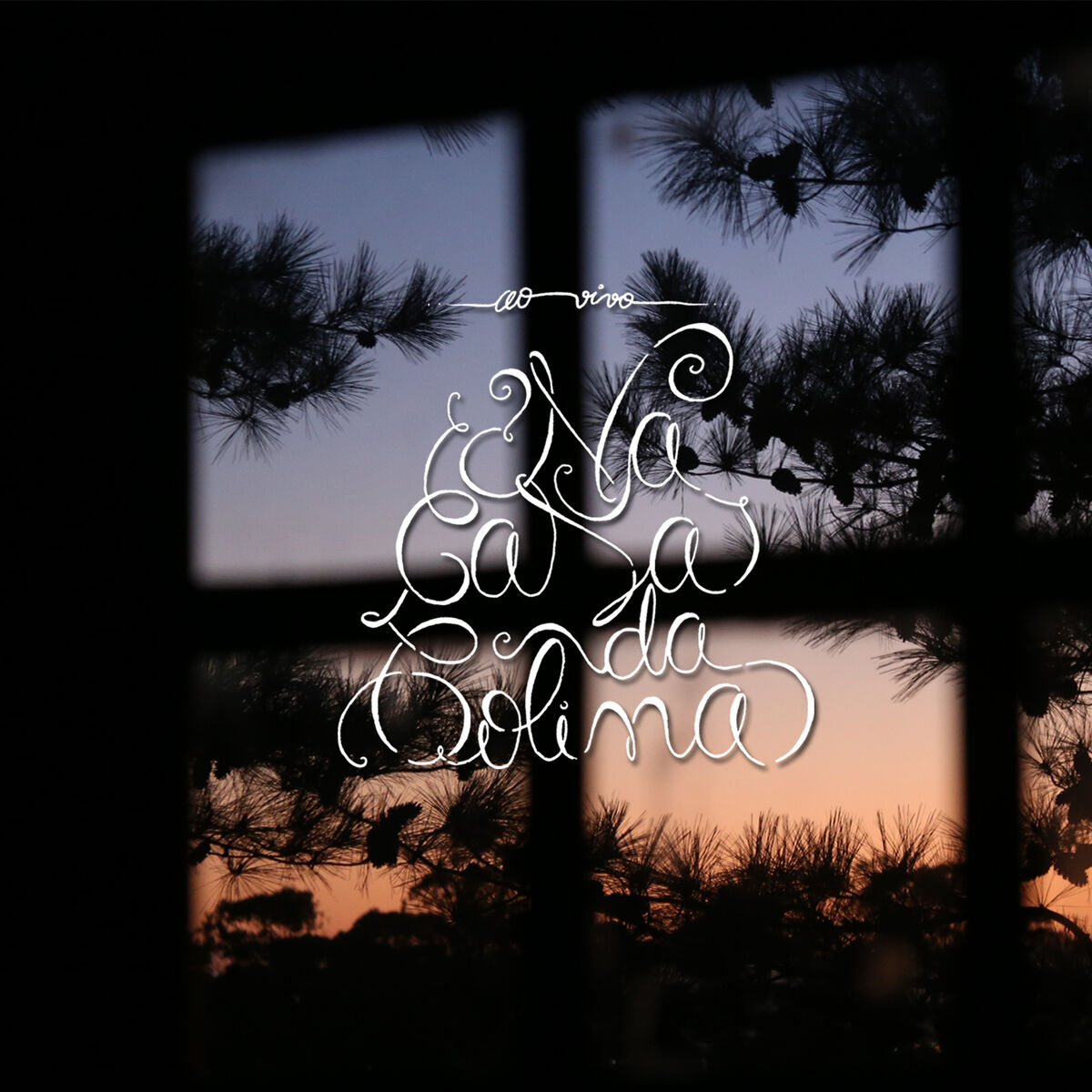 Album cover of Aquela Velha Arvore