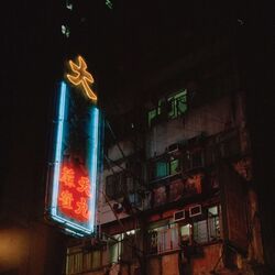 Cover of DRIPPING SUMMERS