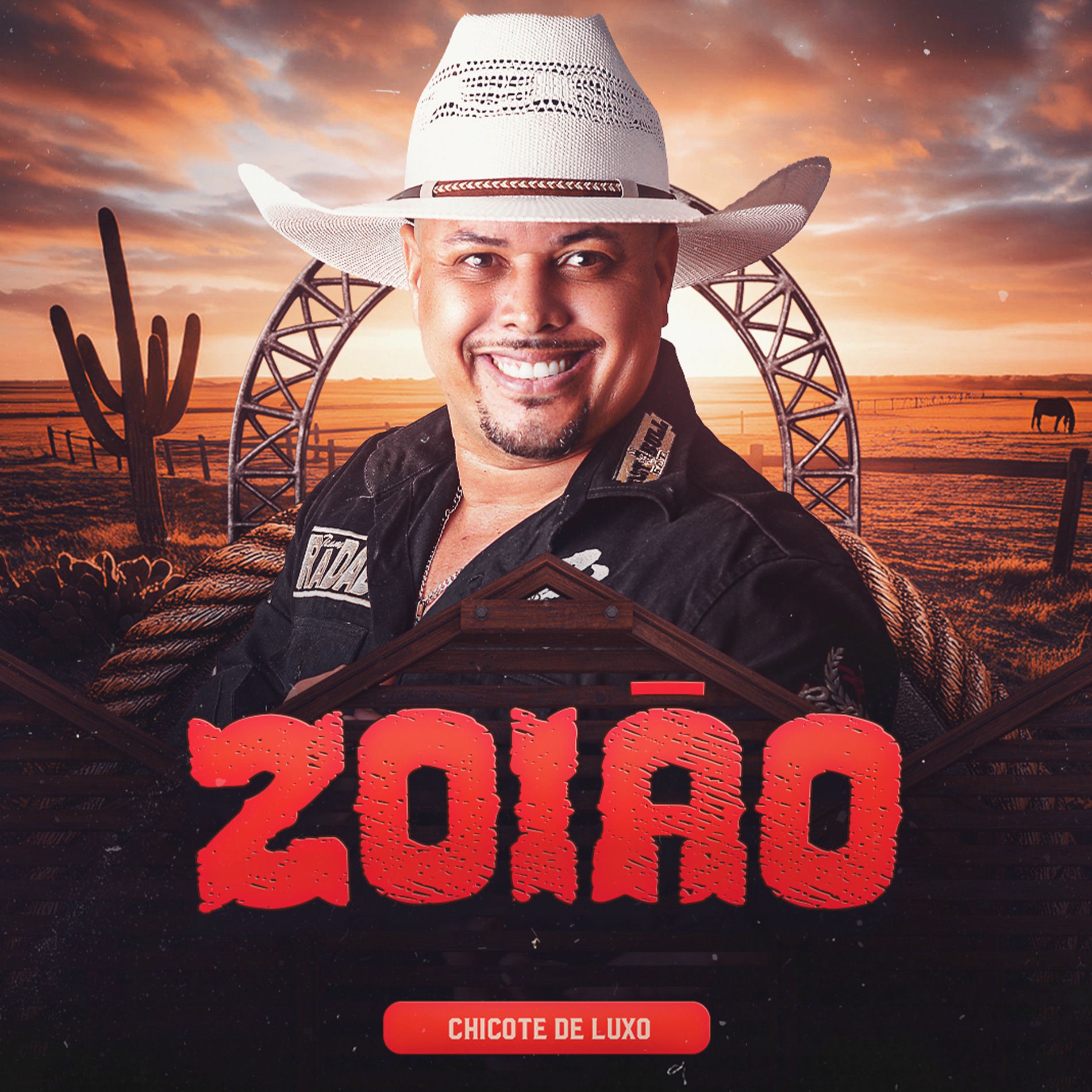 Album cover of Zoião (Ao Vivo)