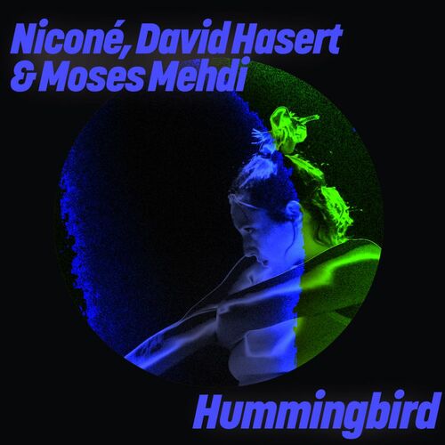  Nicon&#233;, David Hasert & Moses Mehdi - Hummingbird (2025) 