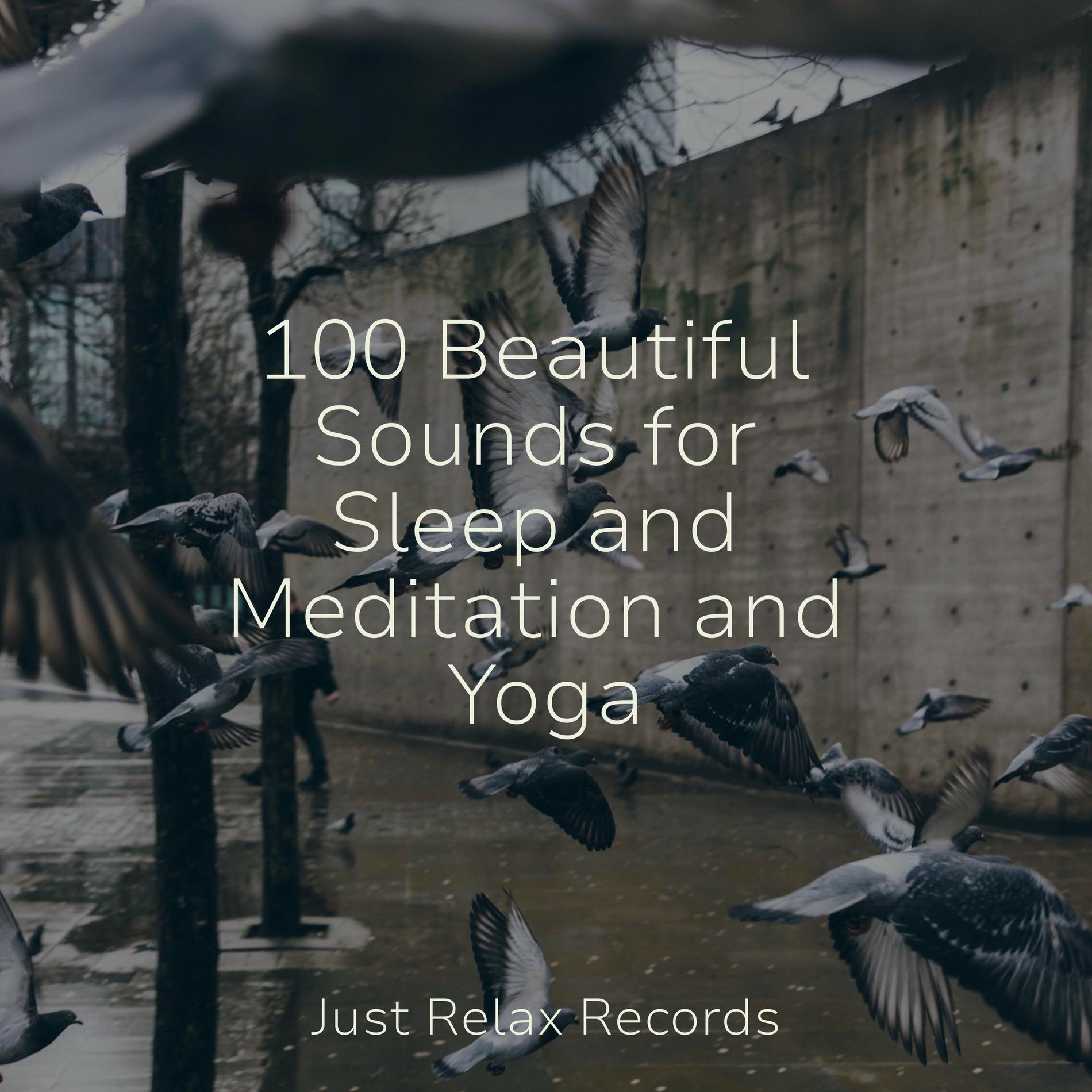 Album cover of 100 Beautiful Sounds for Sleep and Meditation and Yoga