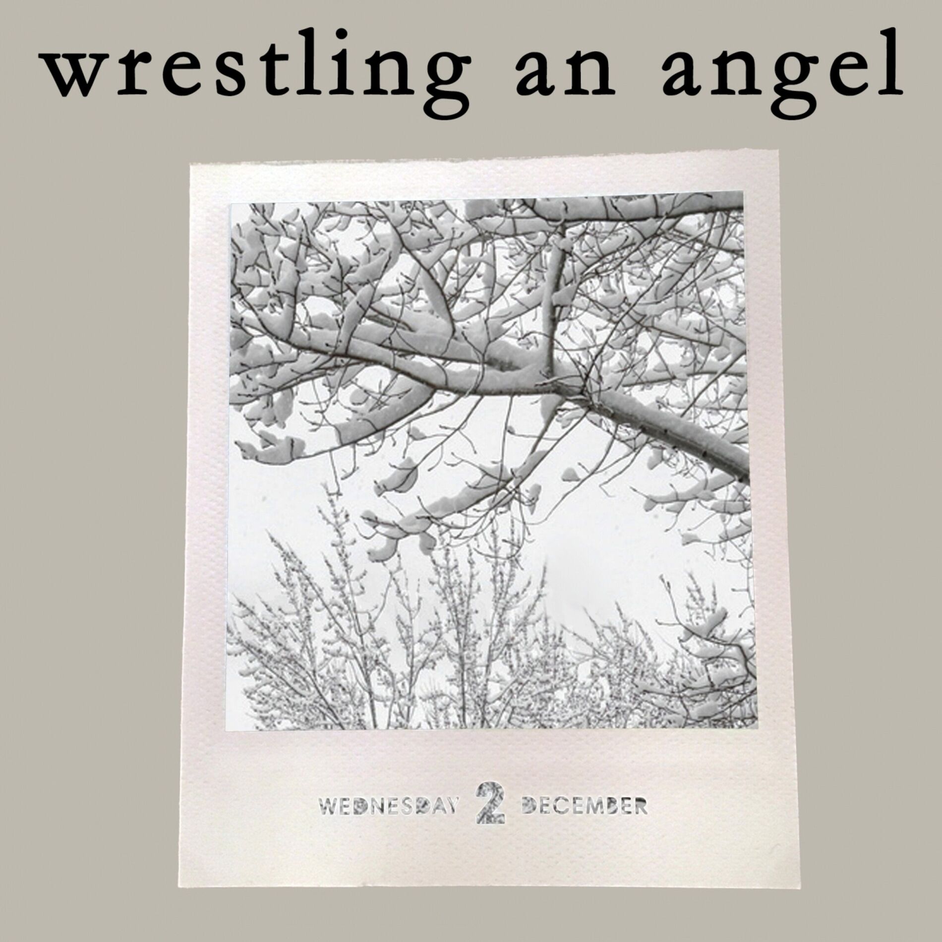 Album cover of Wrestling An Angel