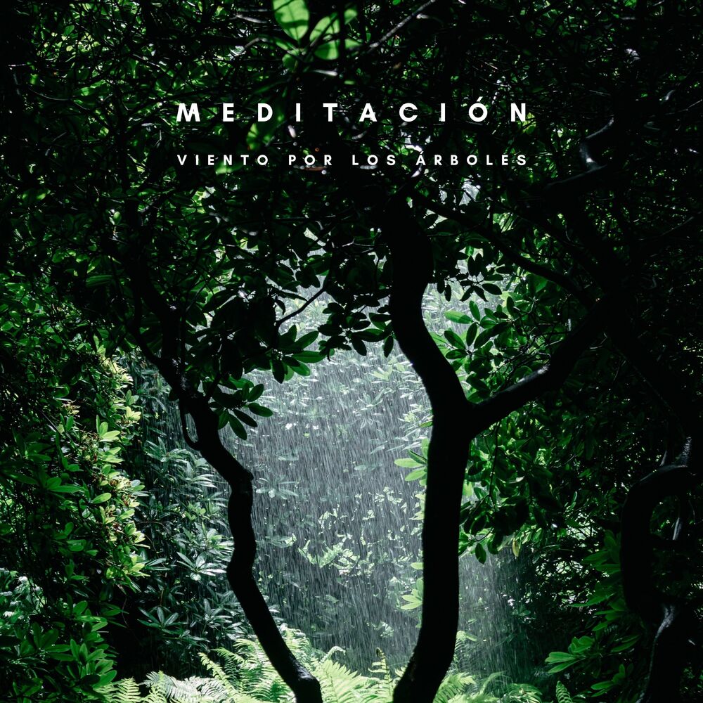 Picture of Meditación: Viento Por Los Árboles