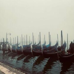 Cover of Venice