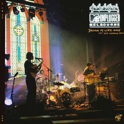 Cover of Dream My Life Away (feat. Josh Cashman) (MTV Unplugged, Live In Melbourne)