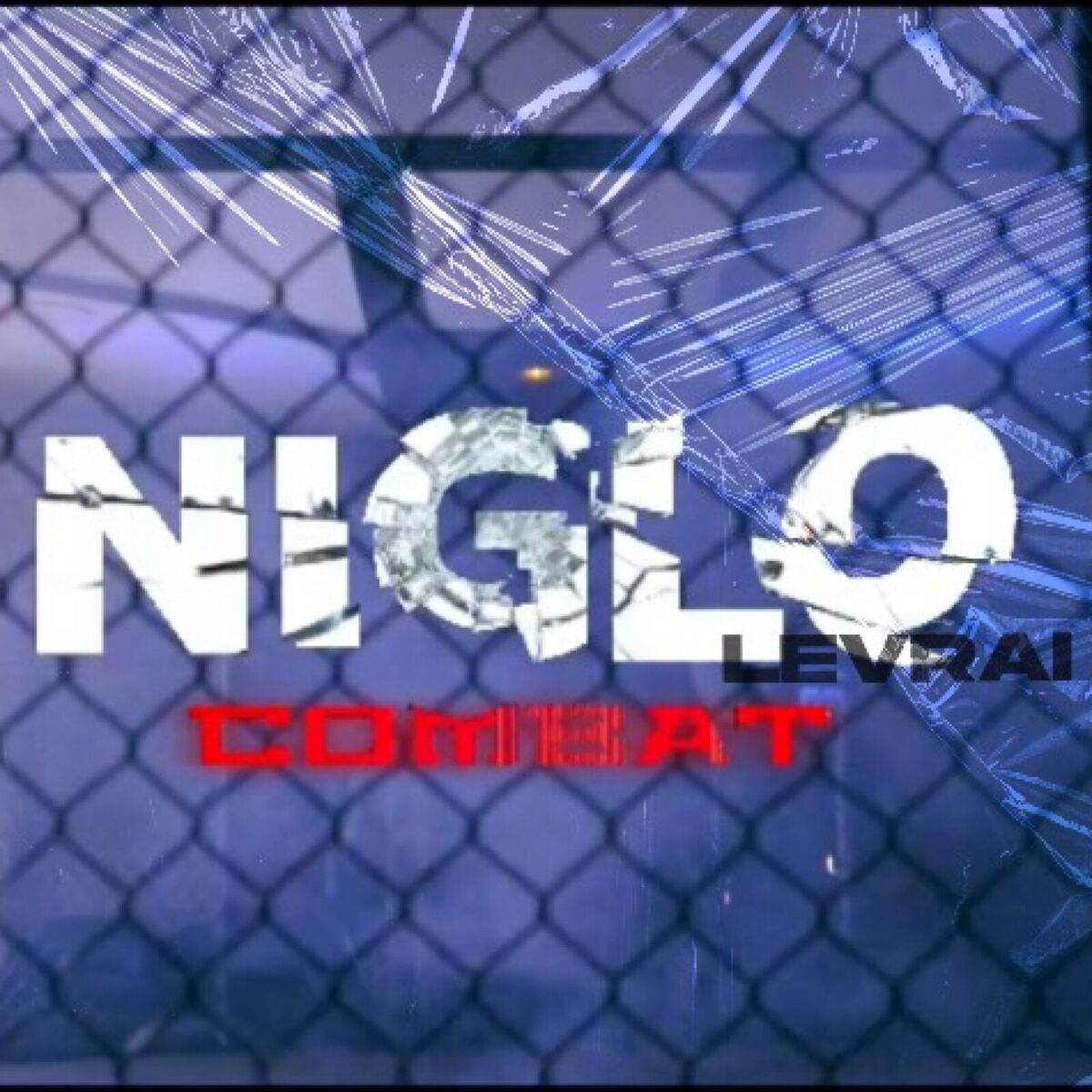 Album cover of Combat