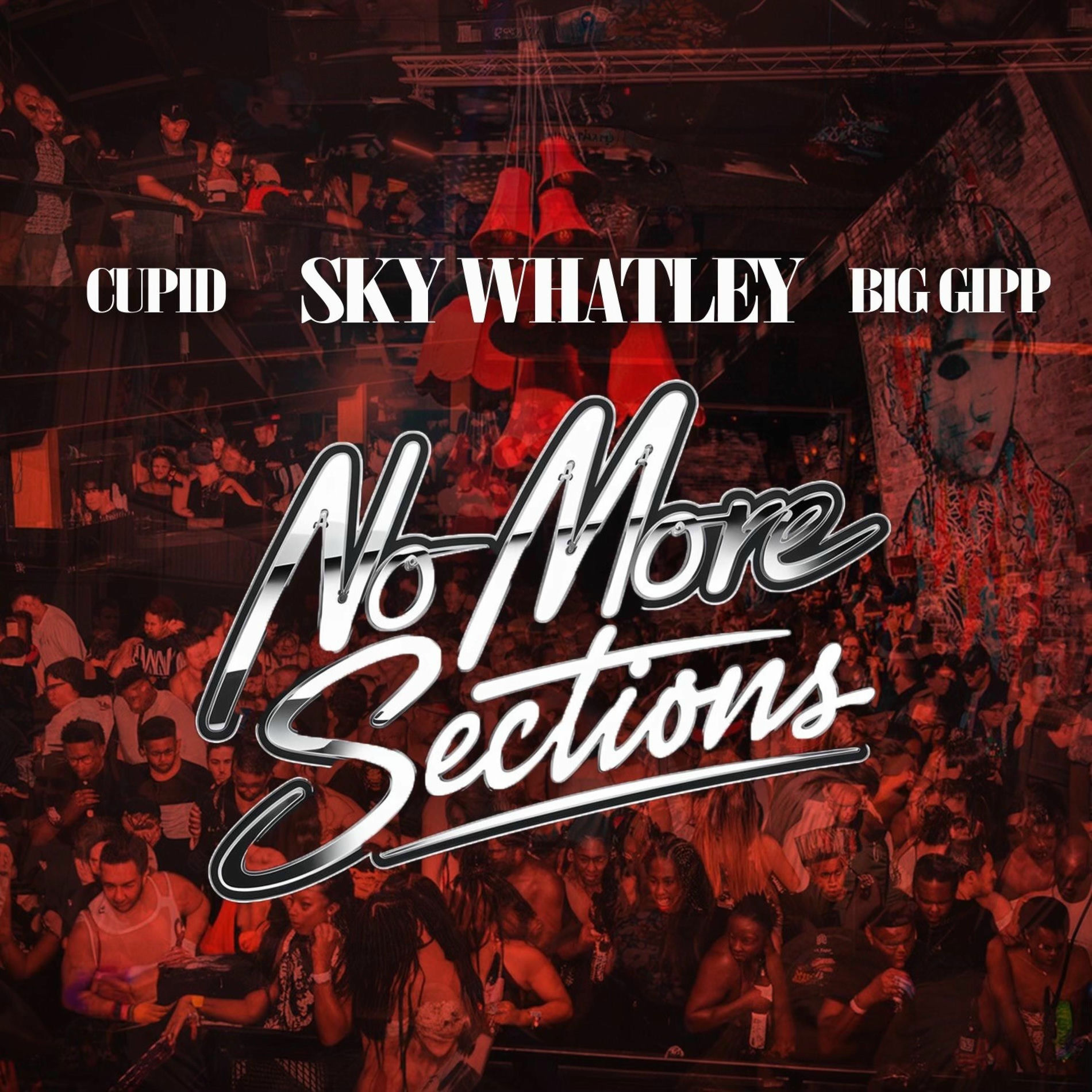 Album cover of No More Sections (feat. Cupid & Big Gipp)