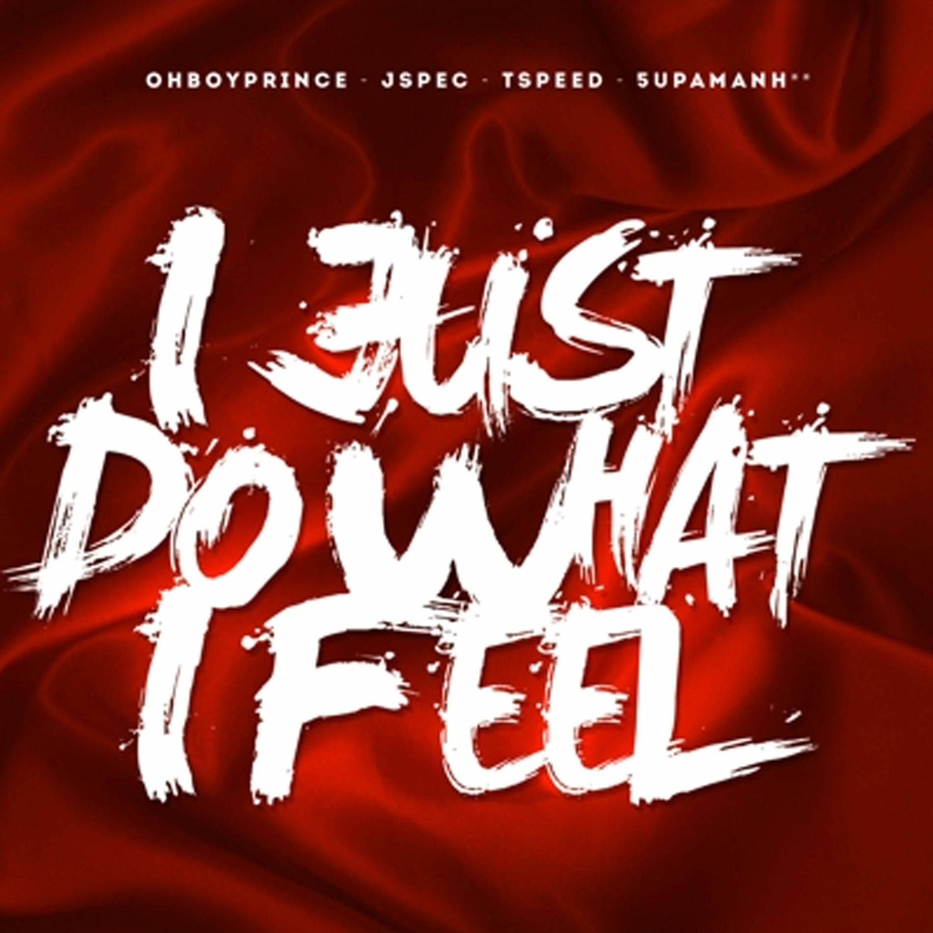 Album cover of I Just Do What I Feel