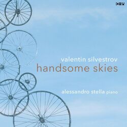 Cover of Handsome Skies