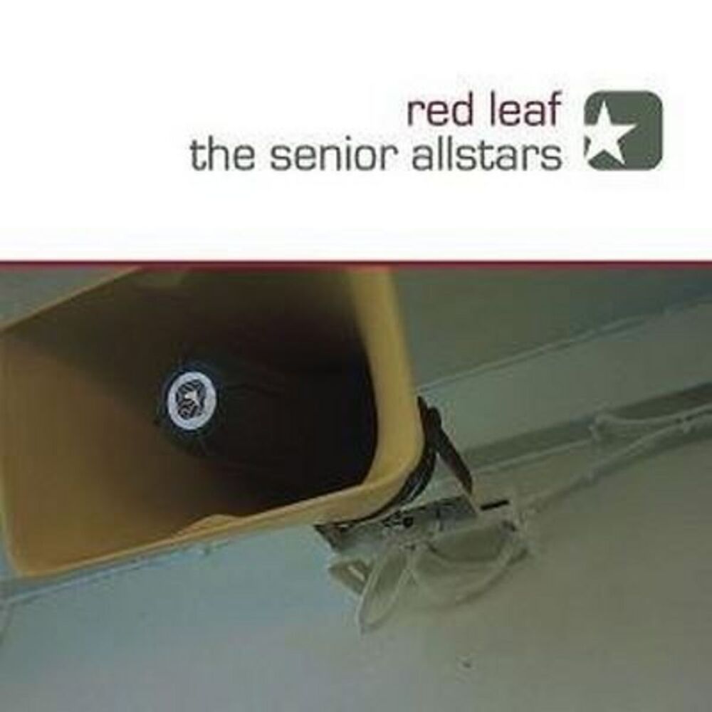 Picture of Red Leaf