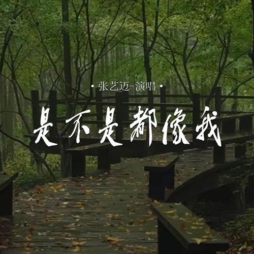 是不是都像我