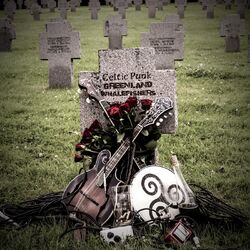Cover of Celtic Punk