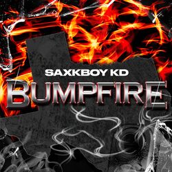 Cover of BUMPFIRE
