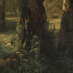 Capa de Woodland Gardens at Dusk