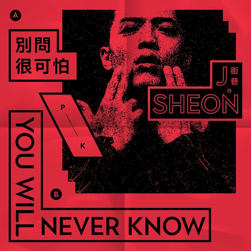 Picture of You'll Never Know / Don't Ask