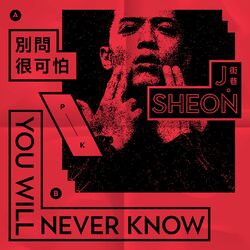 Cover of You'll Never Know / Don't Ask