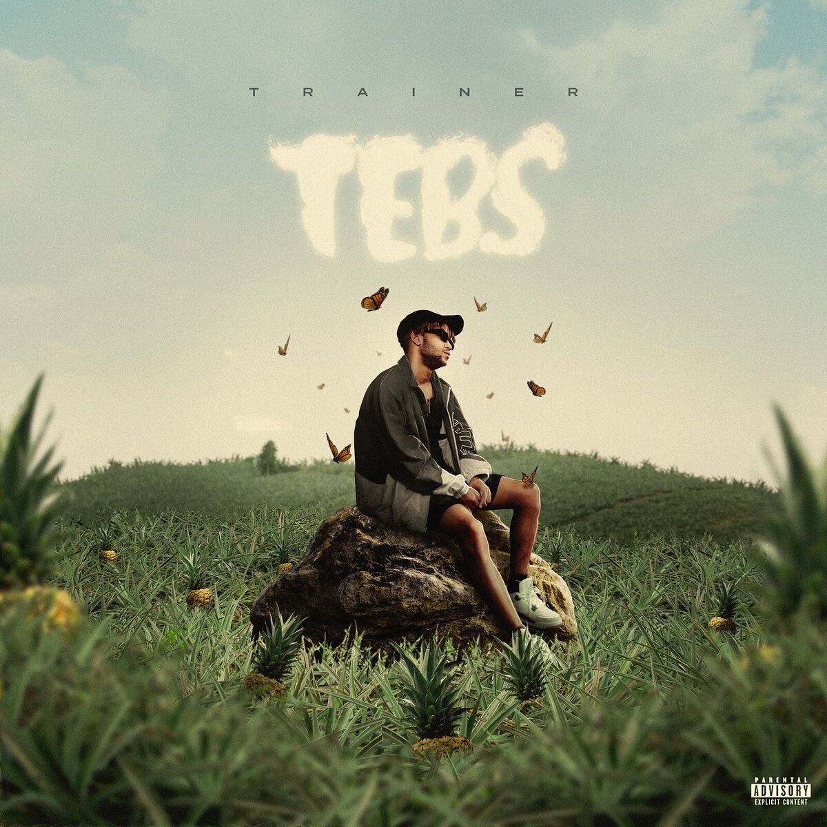 Album cover of Tebs