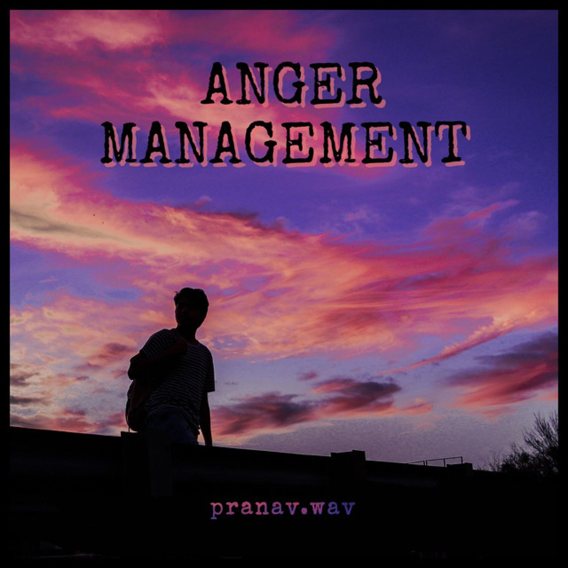 Album cover of Anger Management