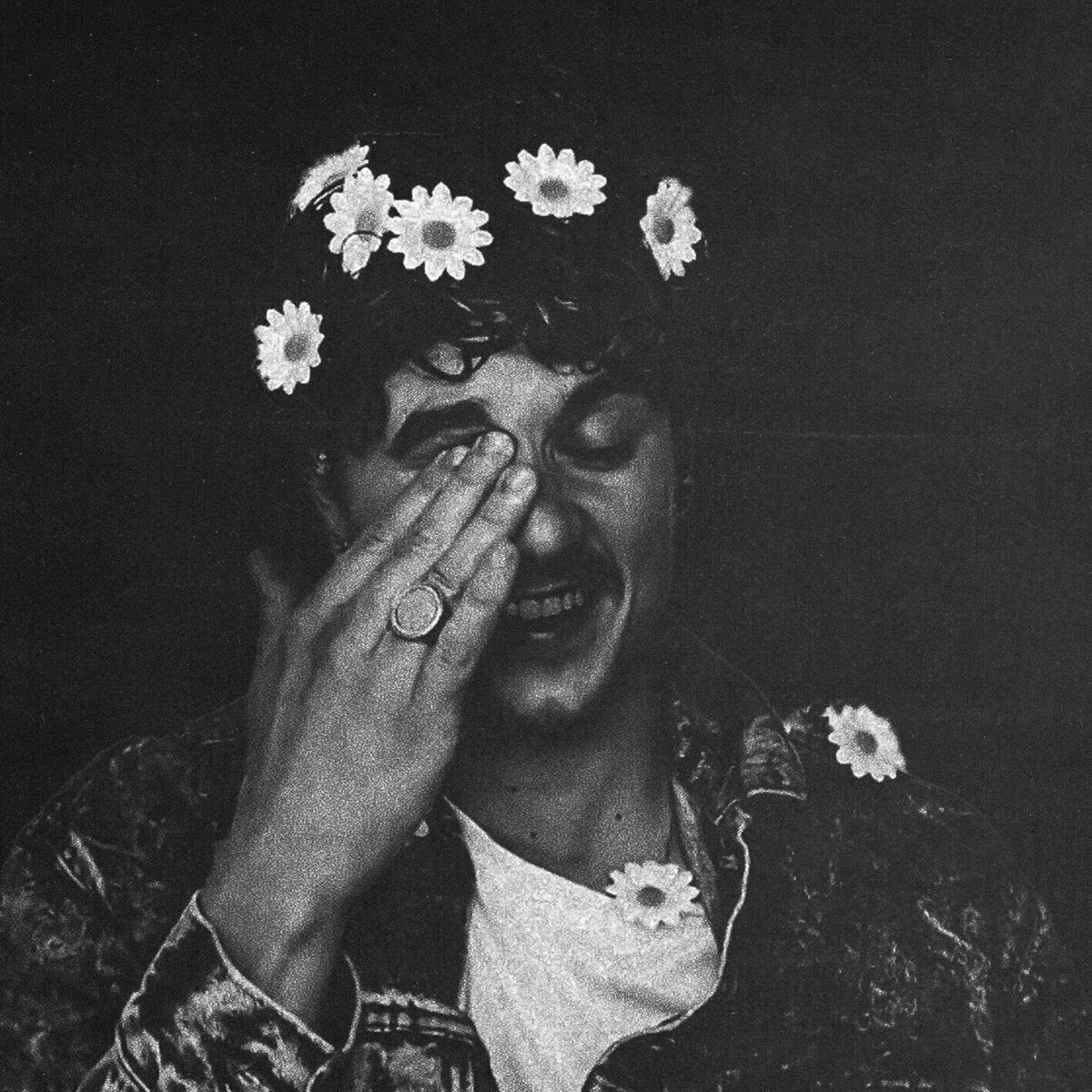 Album cover of Daisies