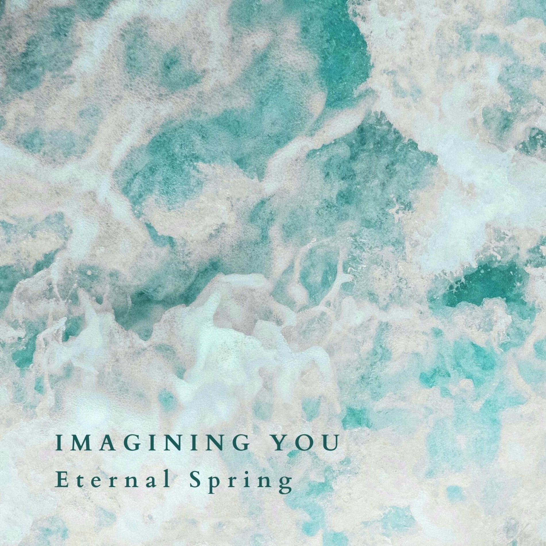 Album cover of Imagining You