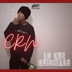 Cover of Lo que quisieras