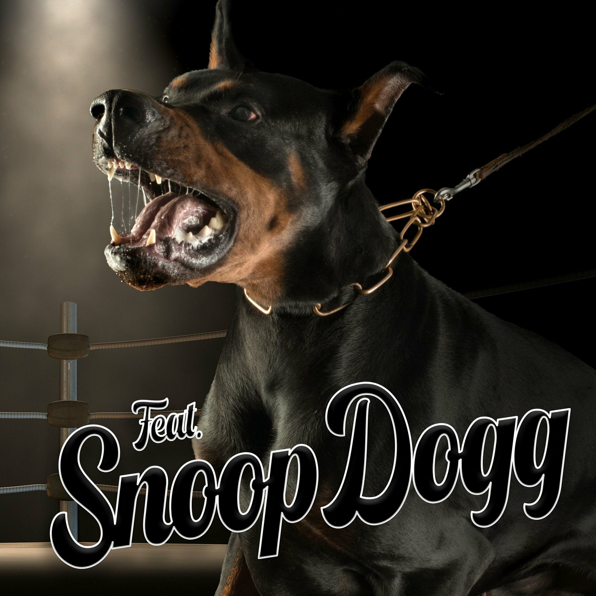 【G-RAP】THE BIG DOG CD BIG DOG G-RAP