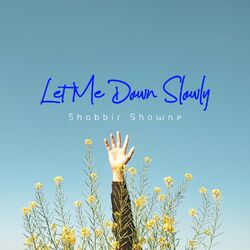 Cover of Let Me Down Slowly