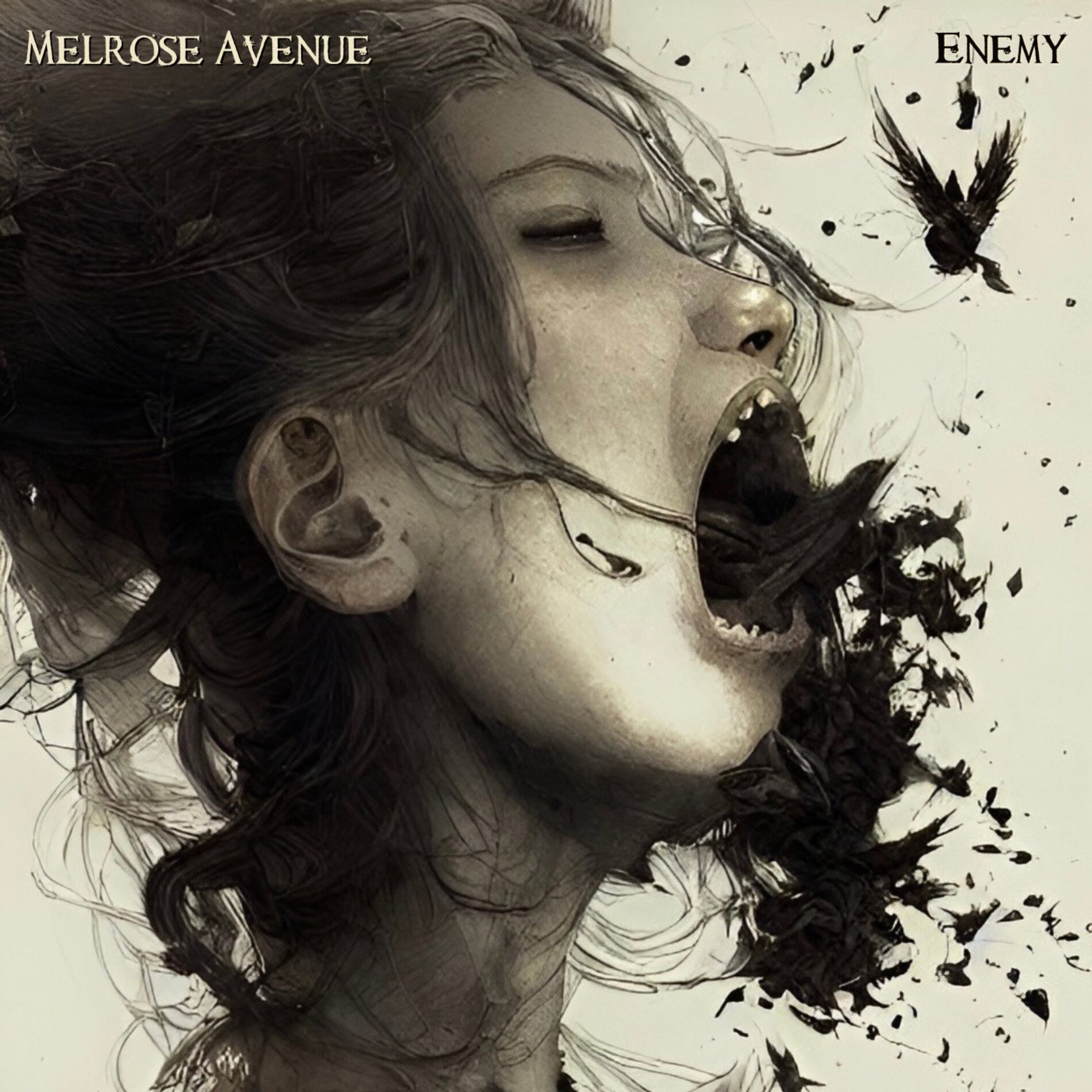 Album cover of Enemy